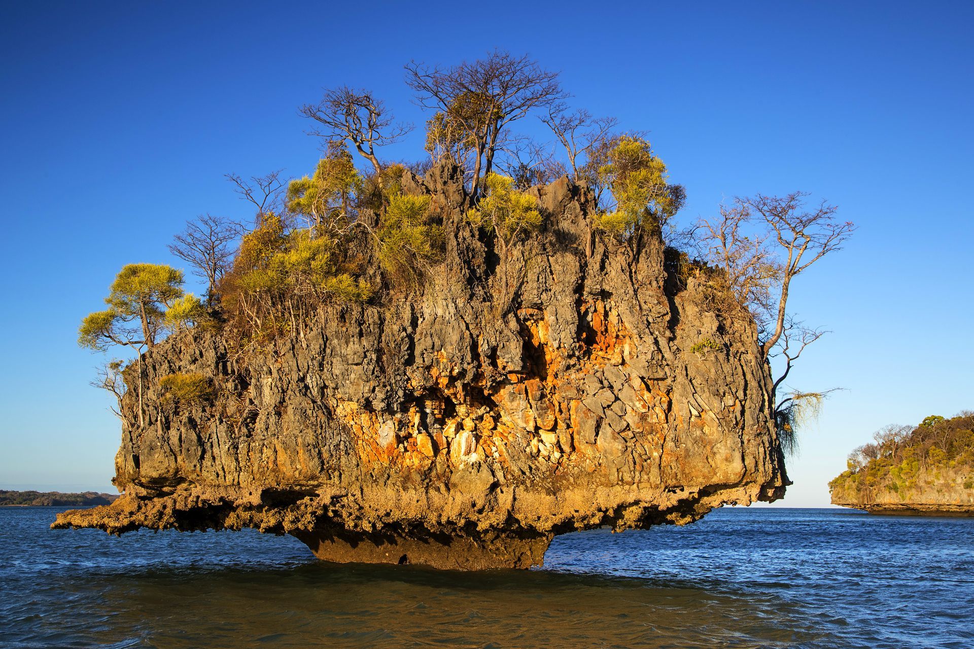 Madagascar Allée des Baobabs