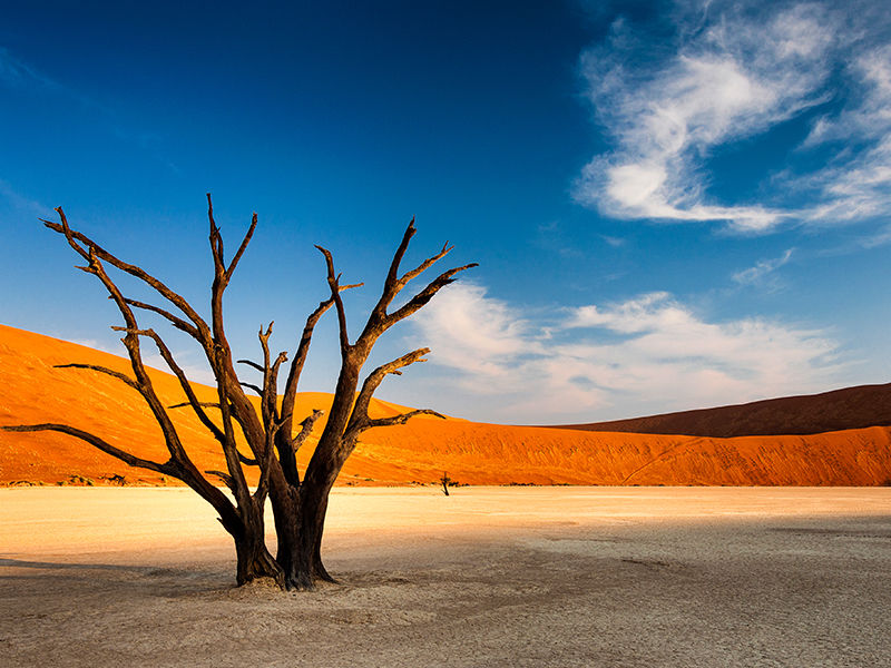 Namibie Le plus vieux désert au monde