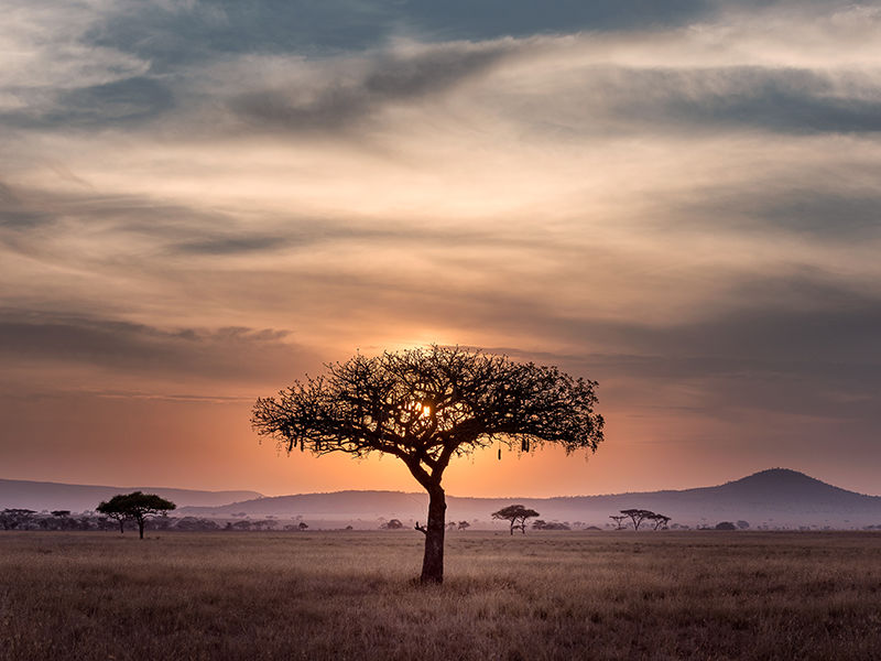 Tanzanie-Zanzibar Deux destinations aux influences différentes