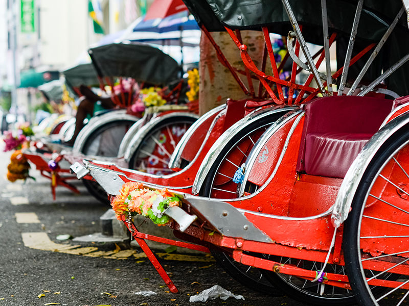 Singapour cultures