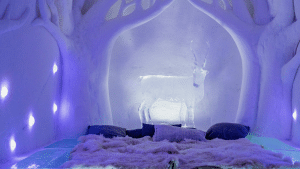 Sorrisniva Igloo Hotel - Alta, Norvège