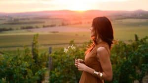 Minaro Hotel Tokaj by MGallery - Tokaj, Hongrie